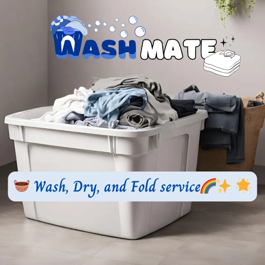 Sydney Wash, Dry, and Fold Service